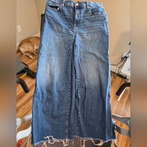 Banana Republic Cropped Blue Jeans with Frayed Hem